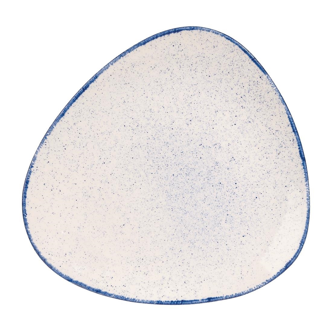DS581