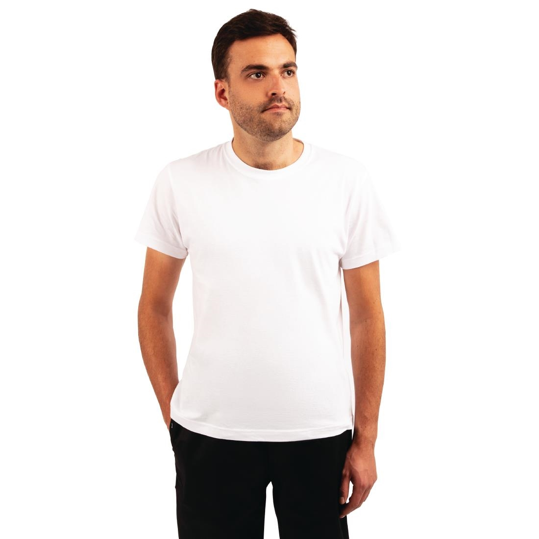 A103-2XL