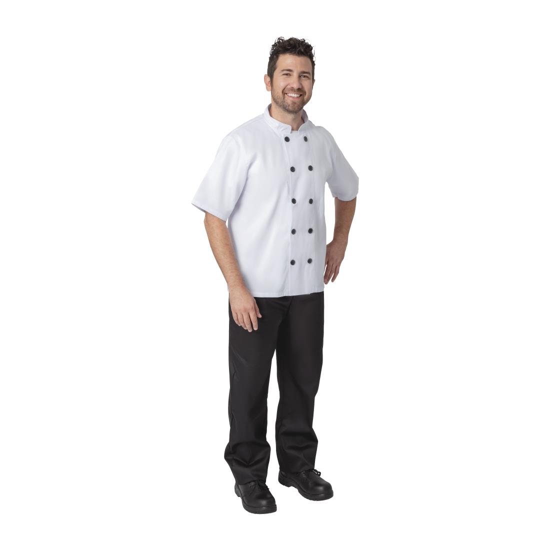 BB547-L