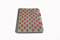 GH00299